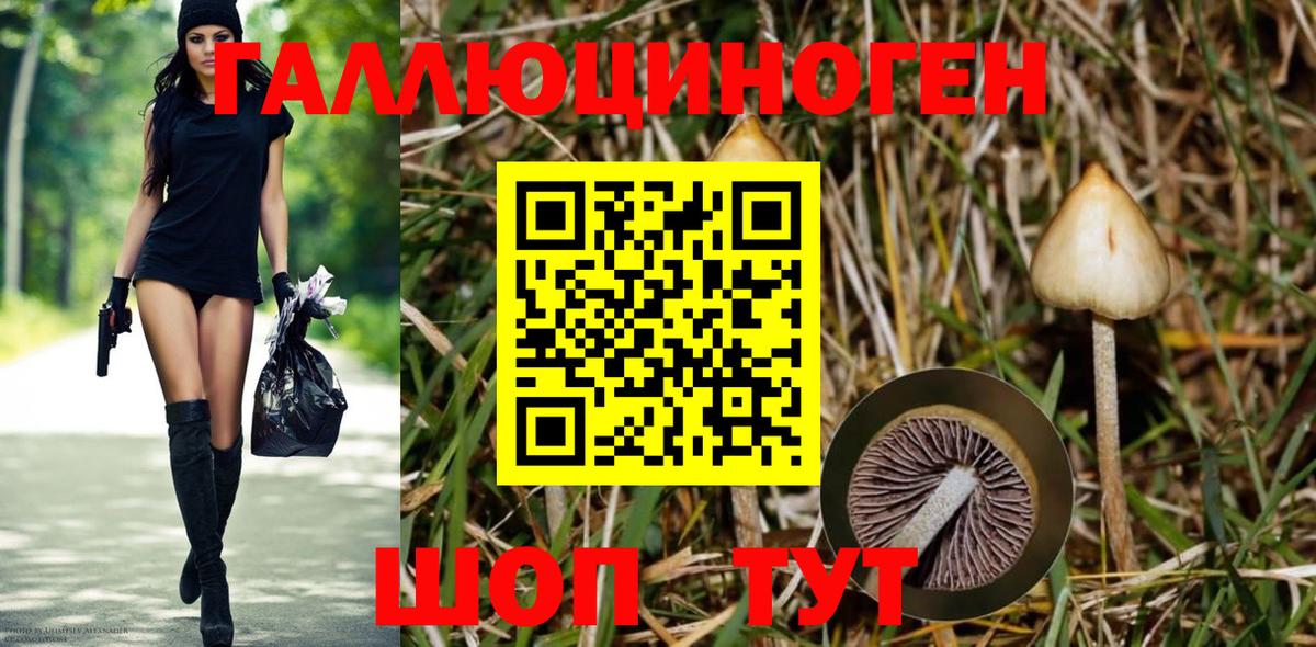 Псилоцибиновые грибы мухоморы  Псилоцибиновые грибы мухоморы  Карталы  Вход с VPN 